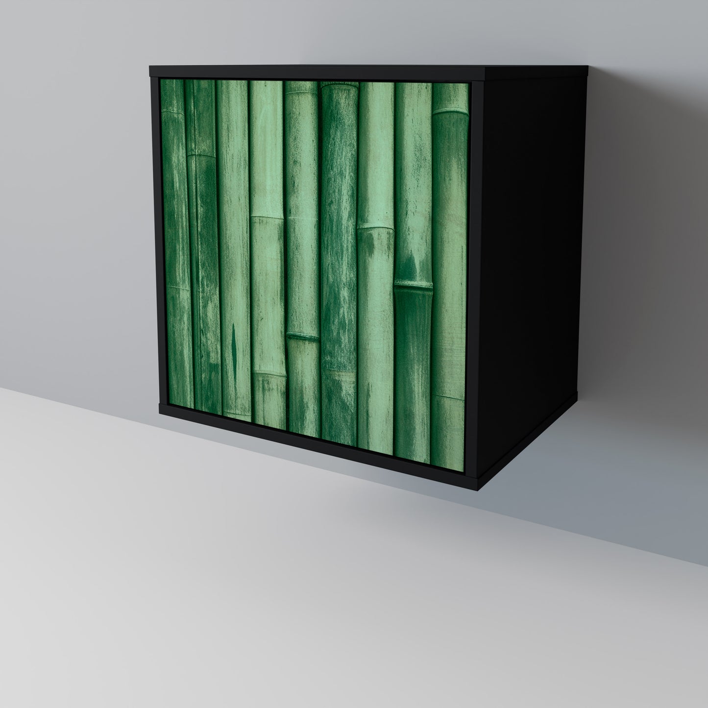 NATURAL GREEN 1-Door Sideboard in Black Finish