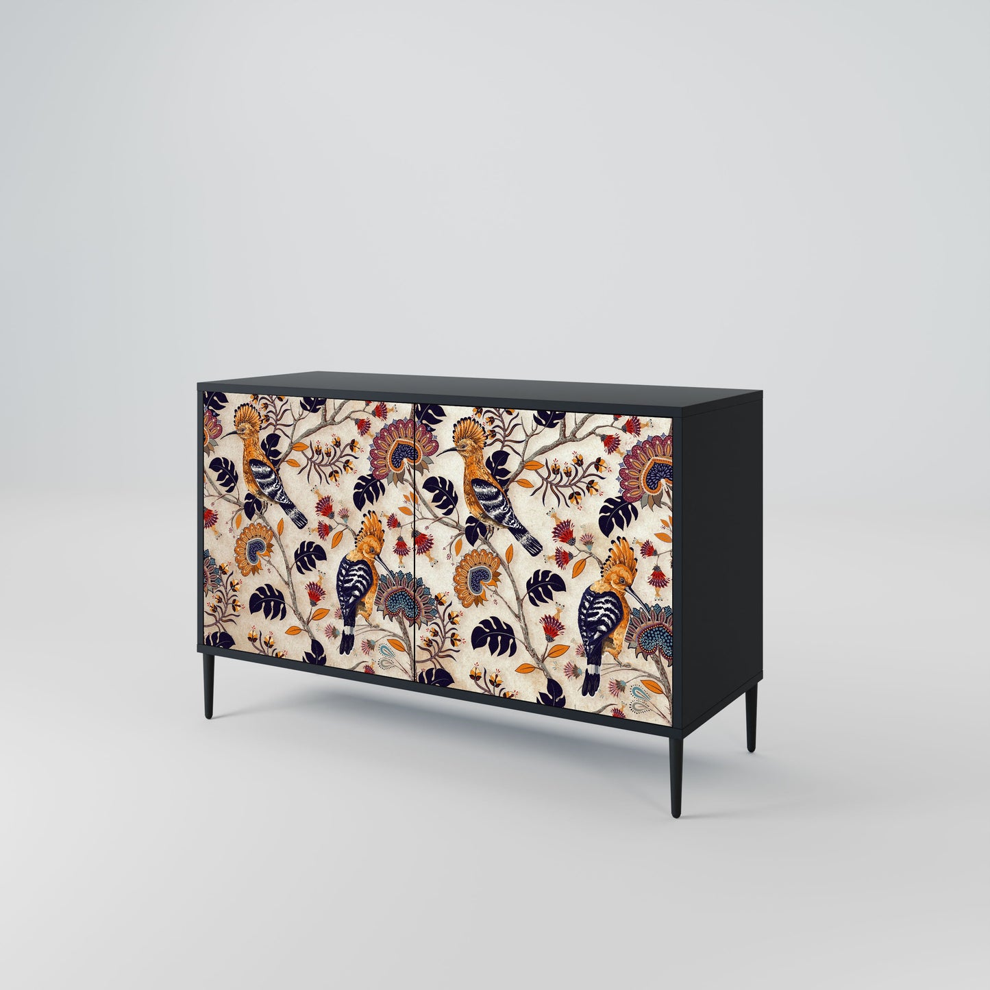Credenza EMINENT HOOPOE a 2 ante in finitura nera