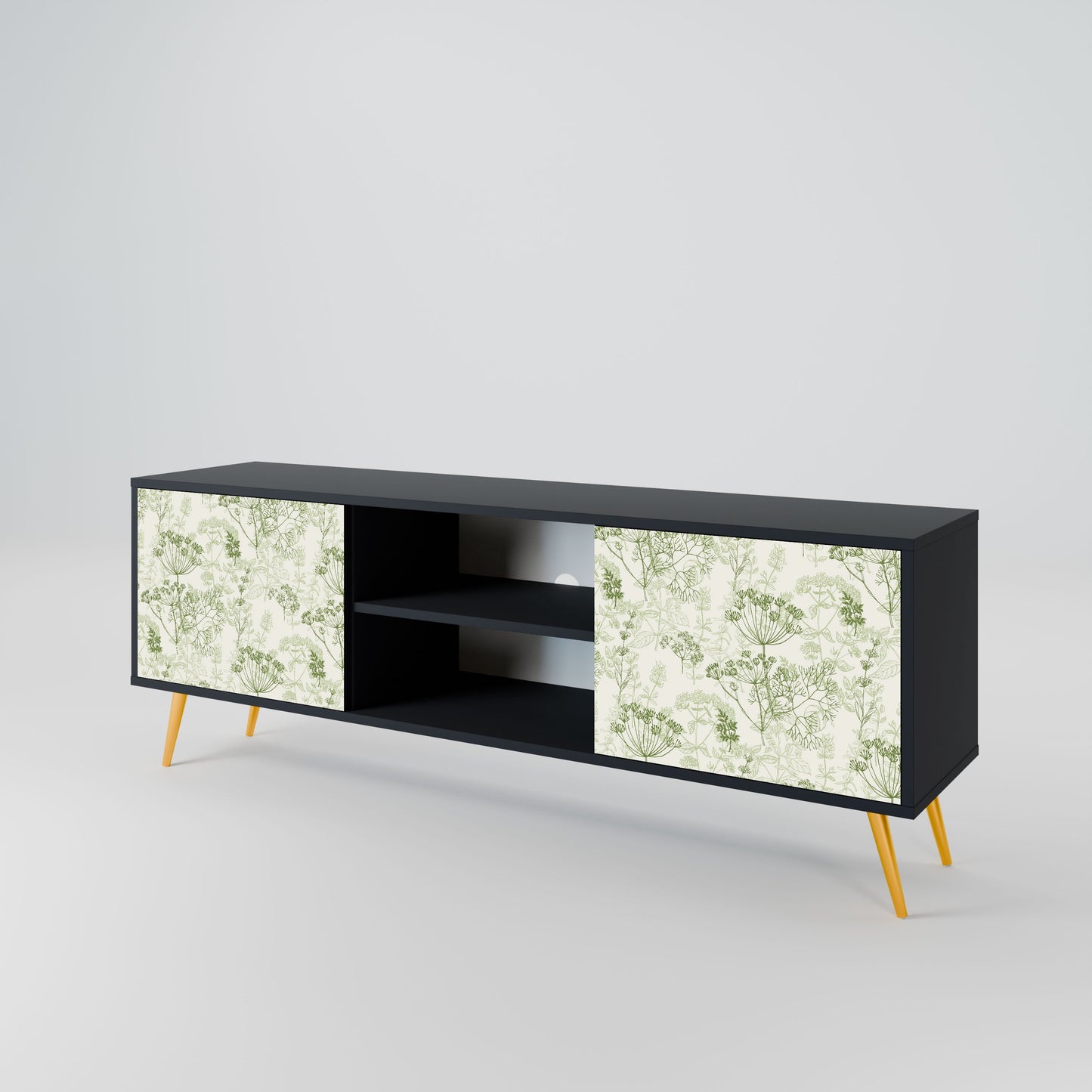 FENNEL BALDACHIN 2-Door TV Stand in Black Finish