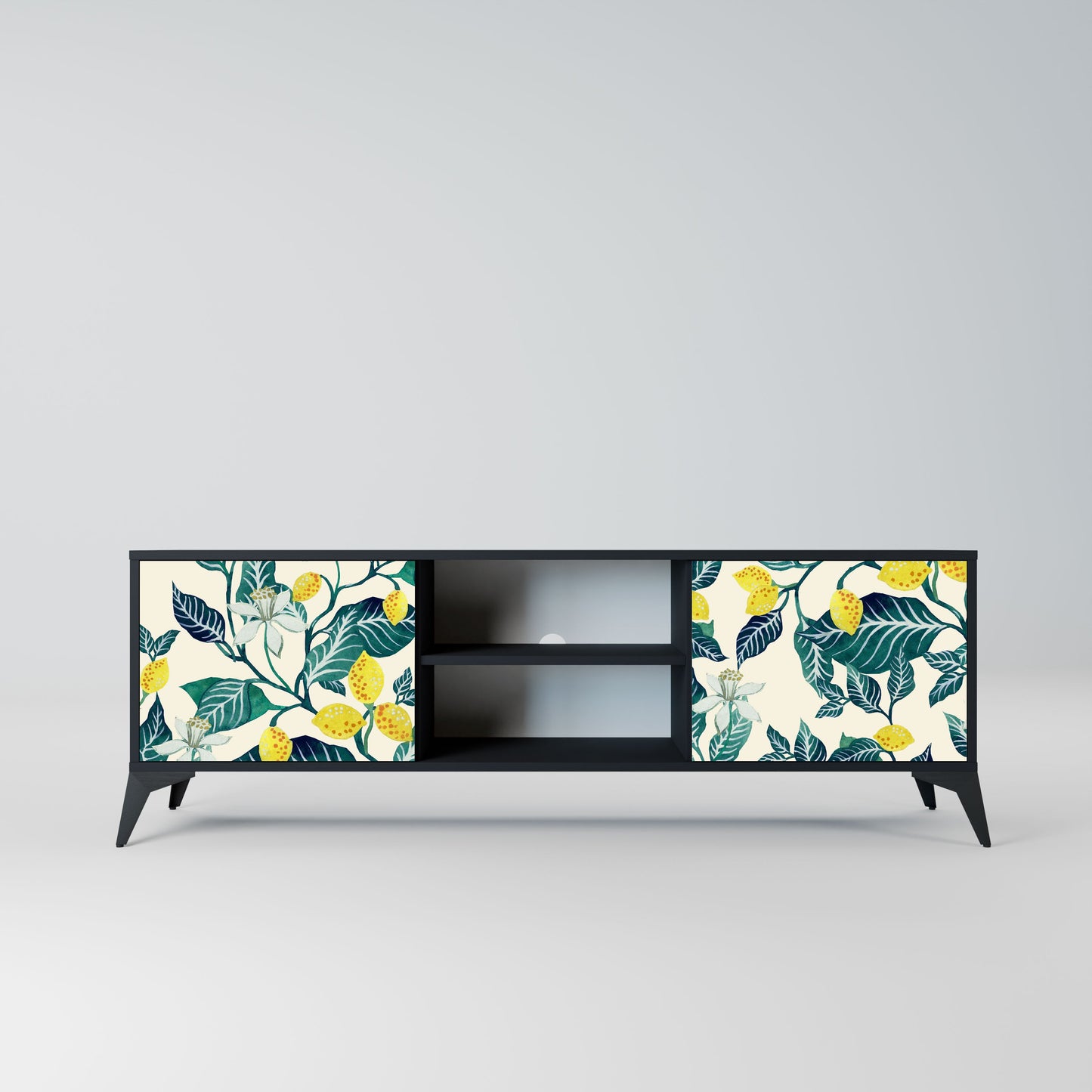 LEMON TREE 2-Door TV Stand in Black Finish