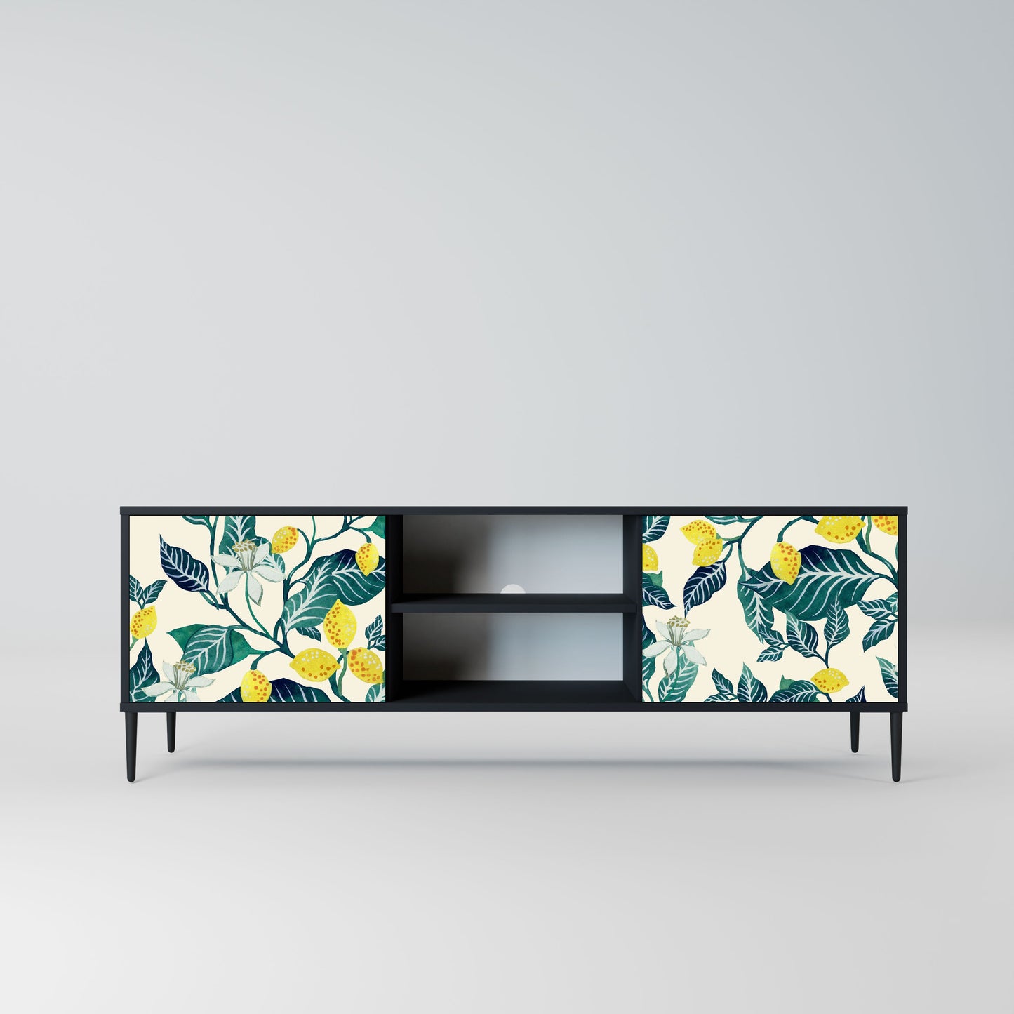 LEMON TREE 2-Door TV Stand in Black Finish
