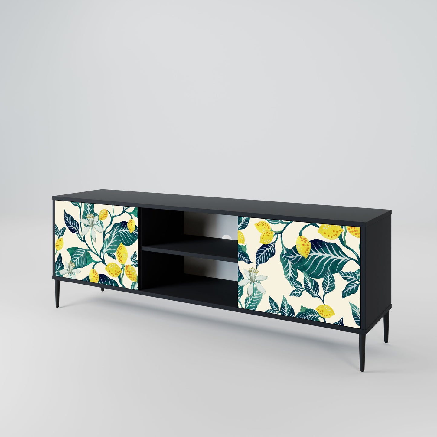 LEMON TREE 2-Door TV Stand in Black Finish