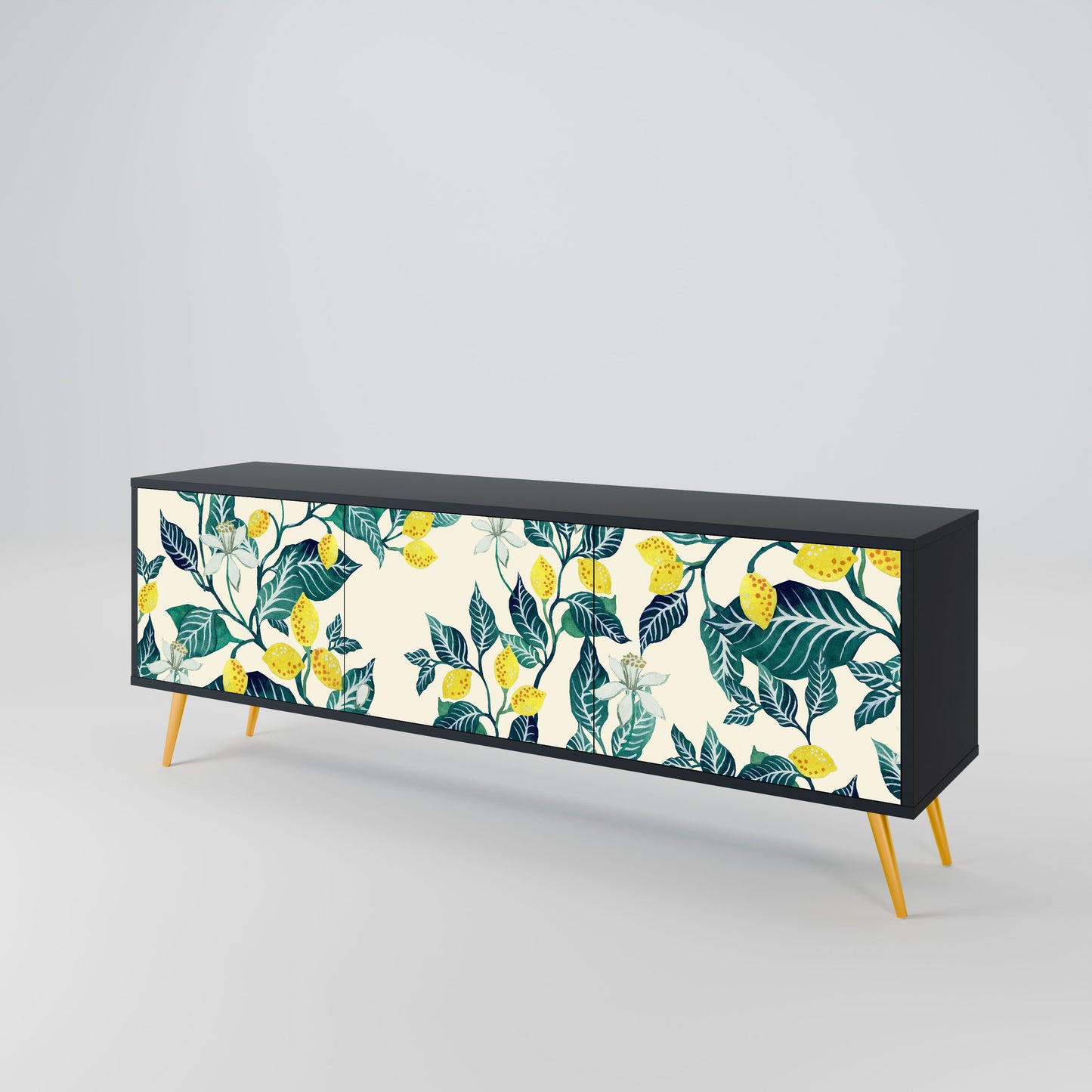 LEMON TREE 3-Door TV Stand in Black Finish
