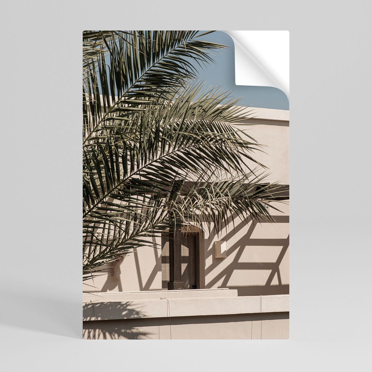 Poster verticale staccabile e attaccabile PALM SHADOW DANCE