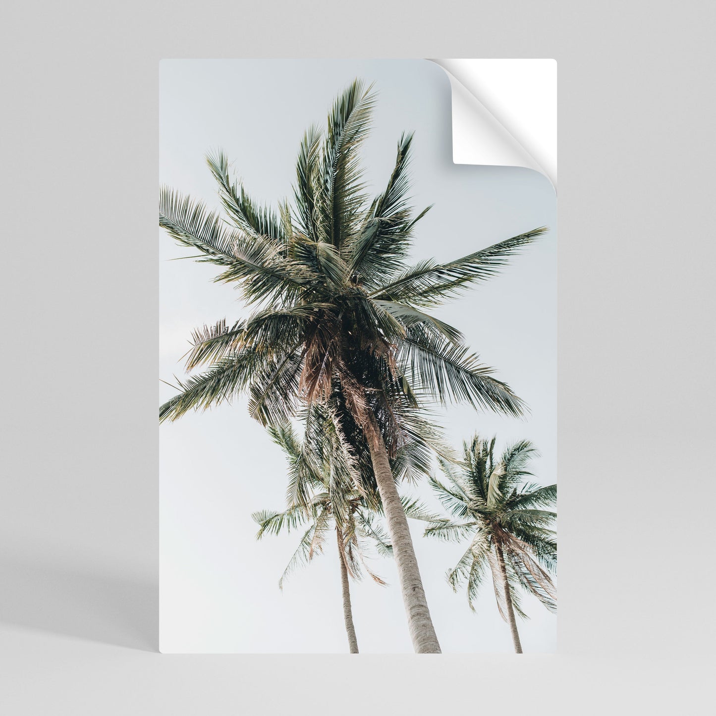 Poster verticale staccabile e attaccabile PALM PARADISE SIGHT