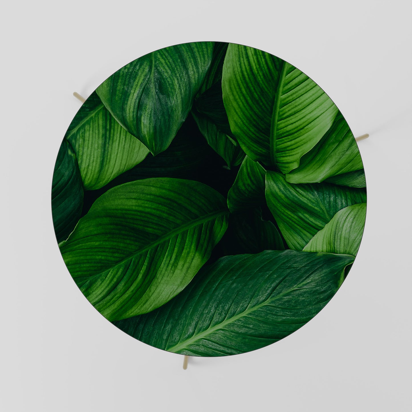 Tavolino da caffè VIBRANT LEAFY EMBRACE 69