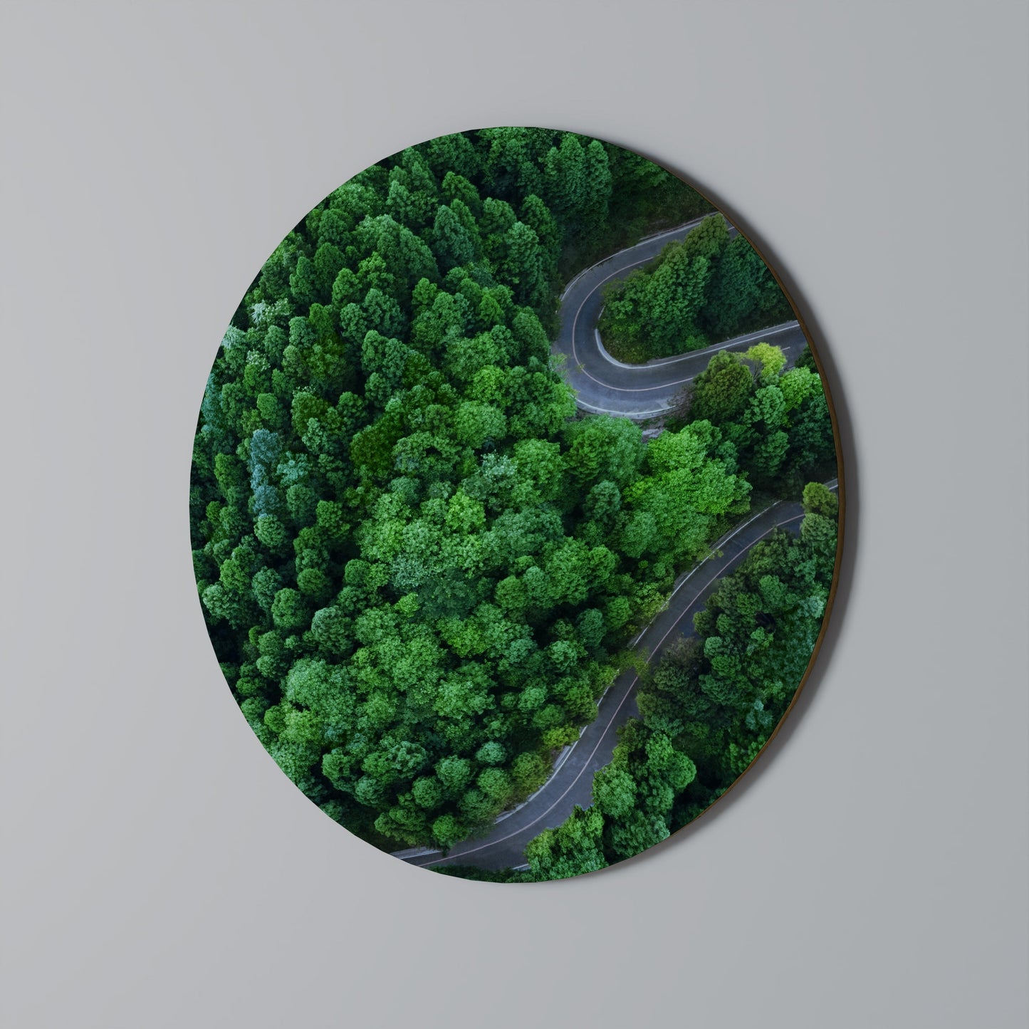 ENCHANTED FOREST RIDE Round Wall Art