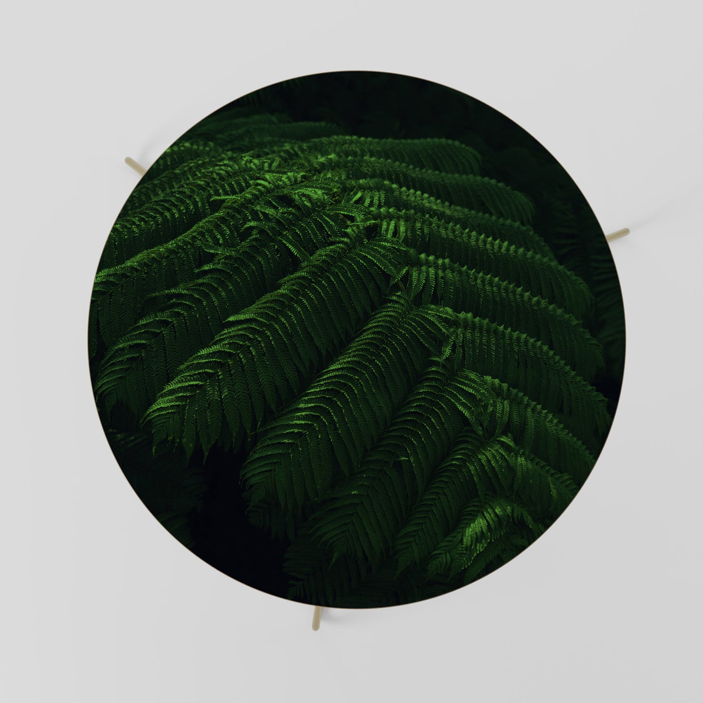 Tavolino da caffè FERN FANTASY 69