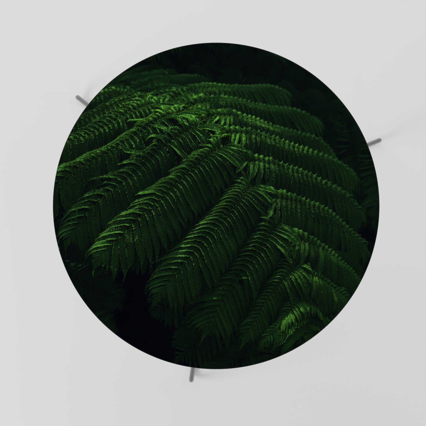 Tavolino da caffè FERN FANTASY 69