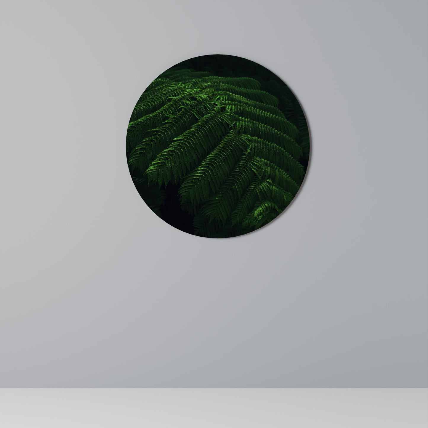 FERN FANTASY Round Wall Art