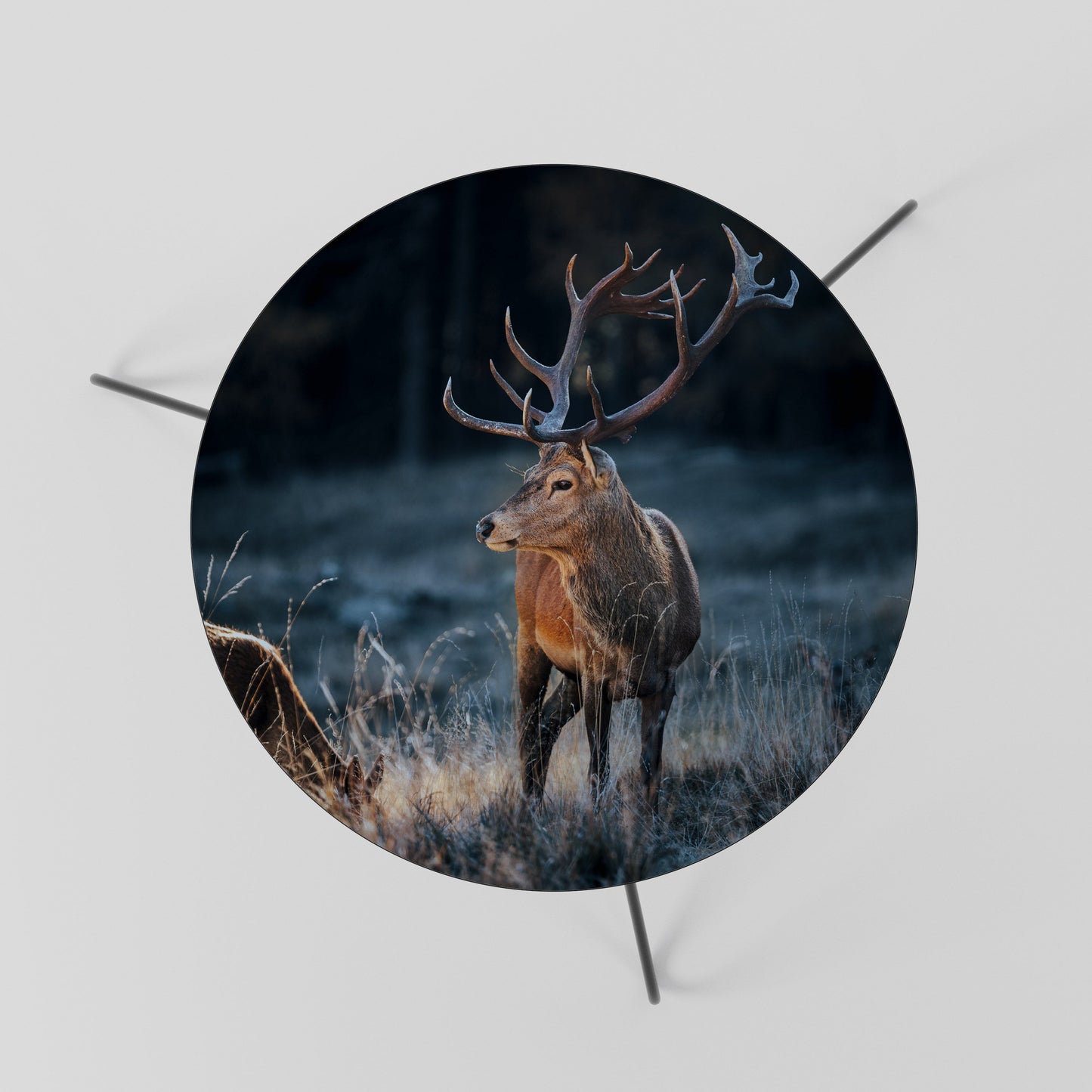 Tavolino da caffè ANTLERED REGALITY 60