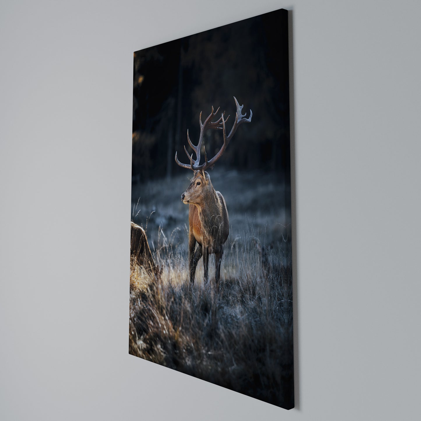 ANTLERED REGALITY Stampa su Tela Verticale