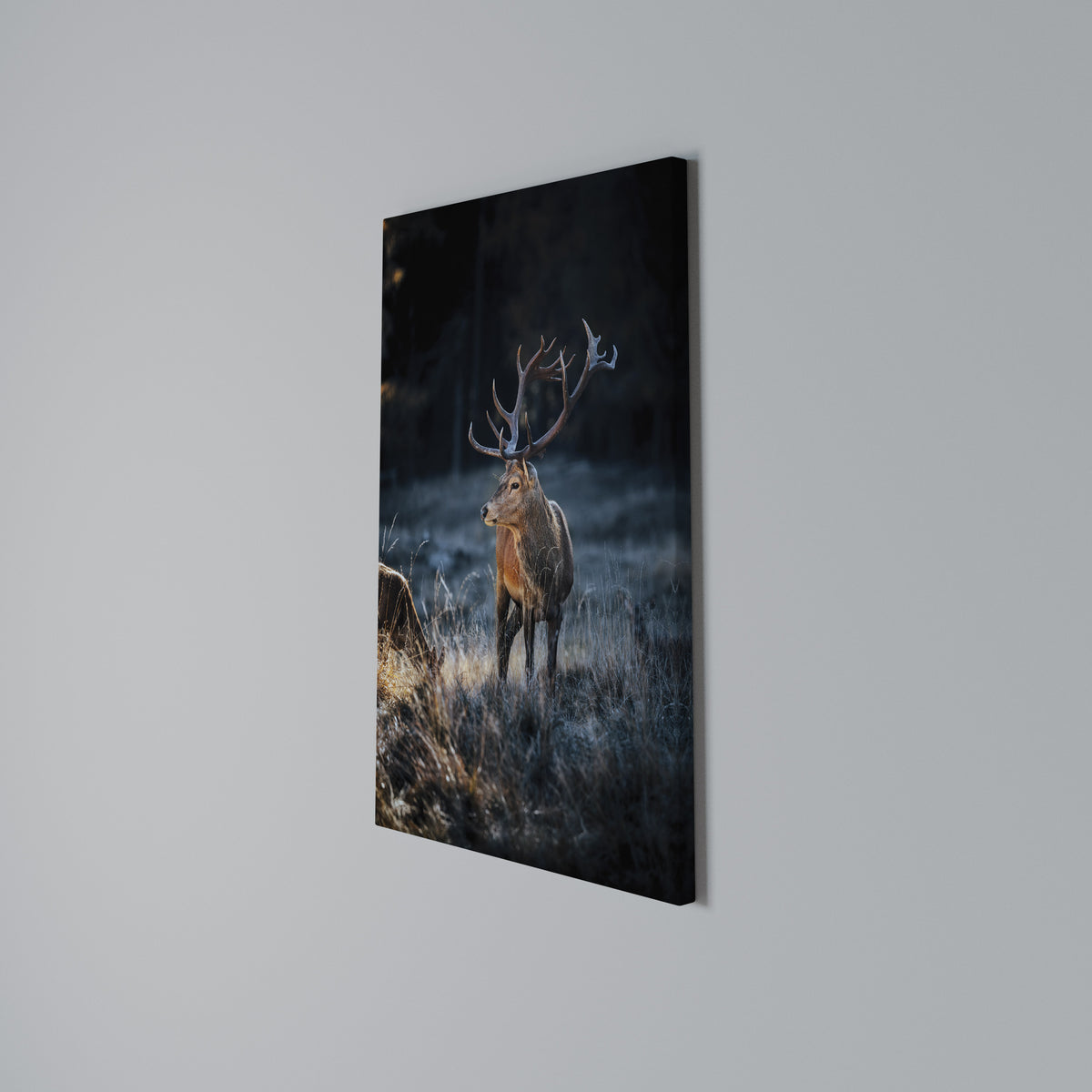 ANTLERED REGALITY Vertical Canvas Print