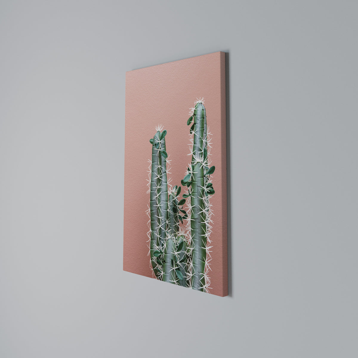 LORD CACTUS Stampa su tela verticale