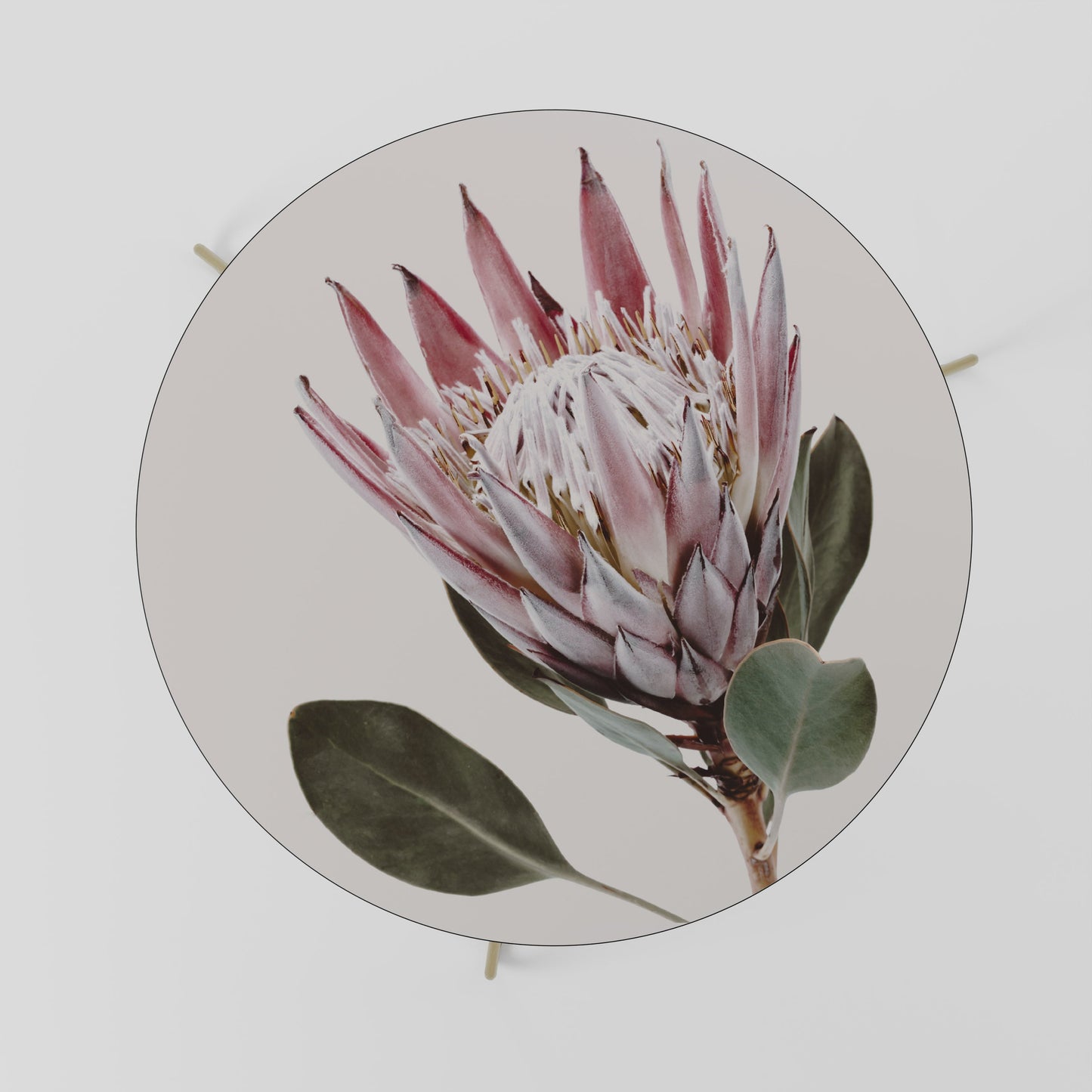 Tavolino da caffè PROTEA FLOWER 69
