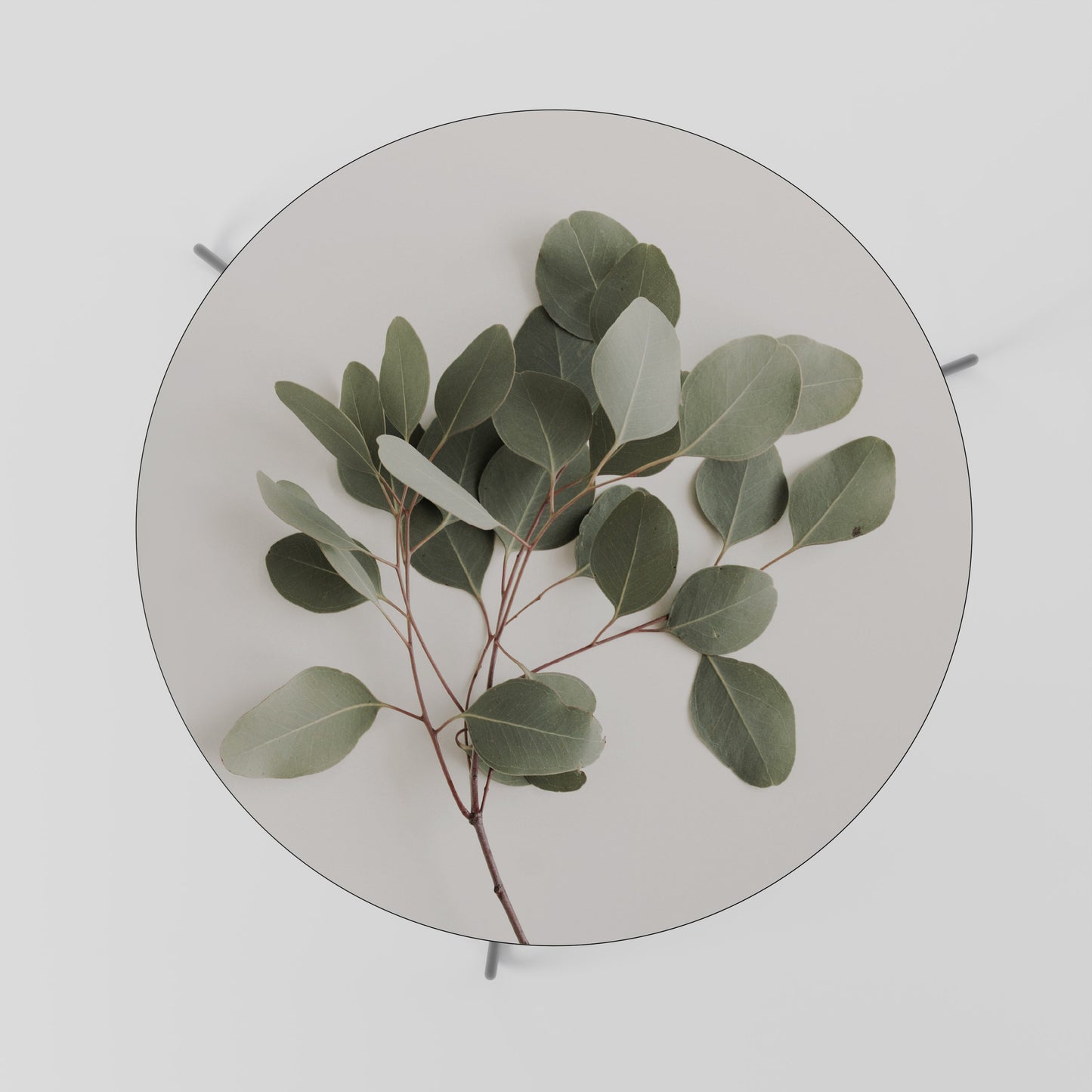 Tavolino da caffè EUCALYPTUS BRANCH 69