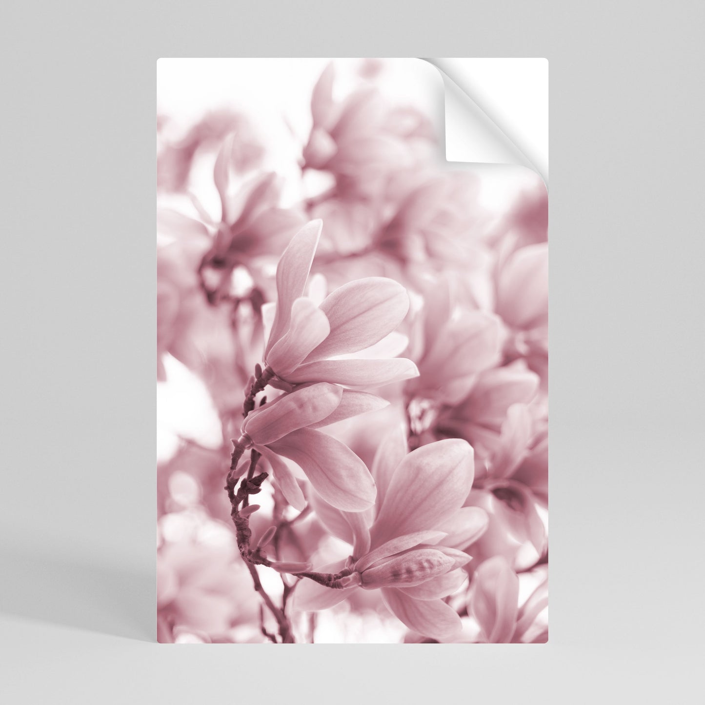 Poster verticale staccabile e attaccabile "SOGNO DI FIORI ROSA"