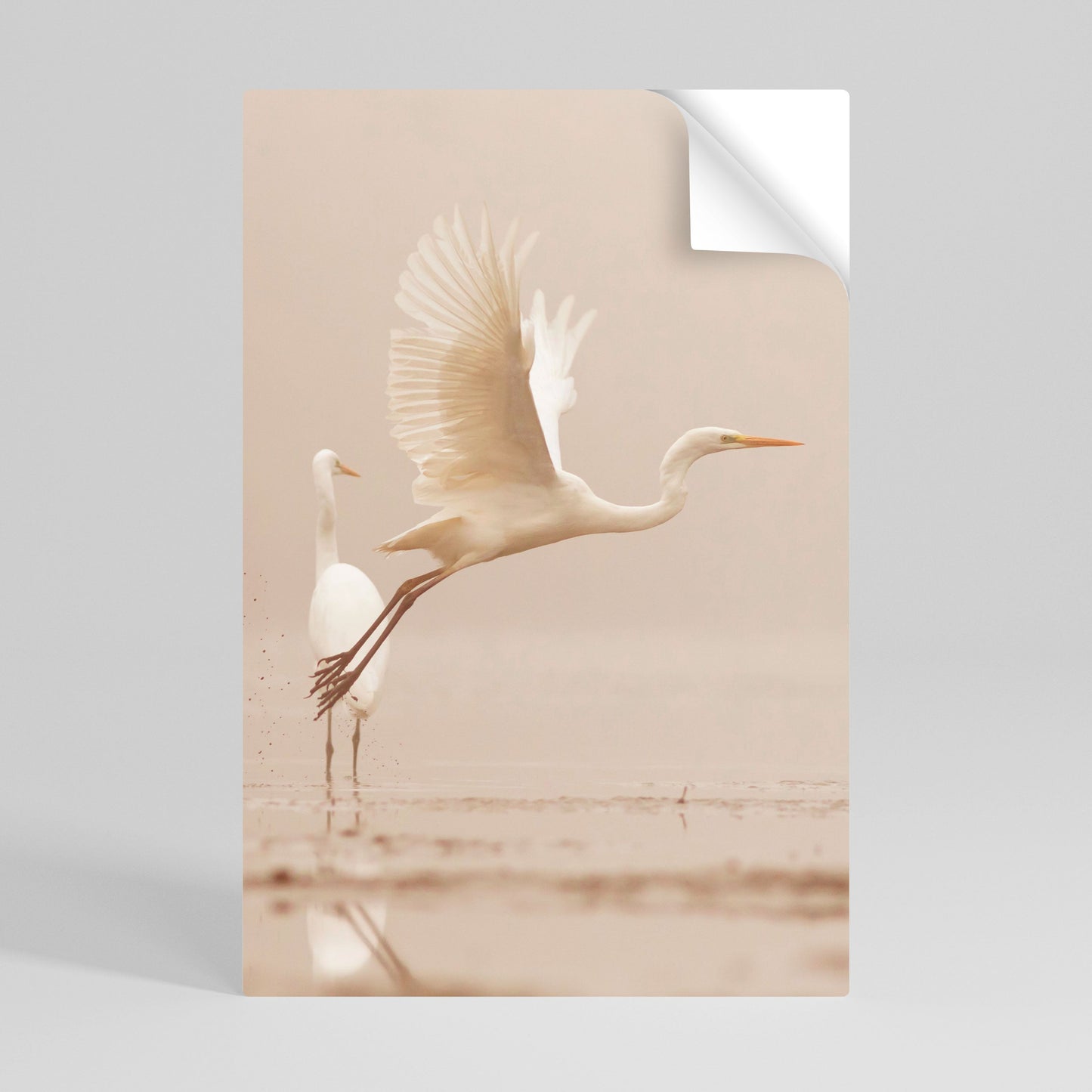 Poster verticale ELEGANT ASCENT stacca e attacca