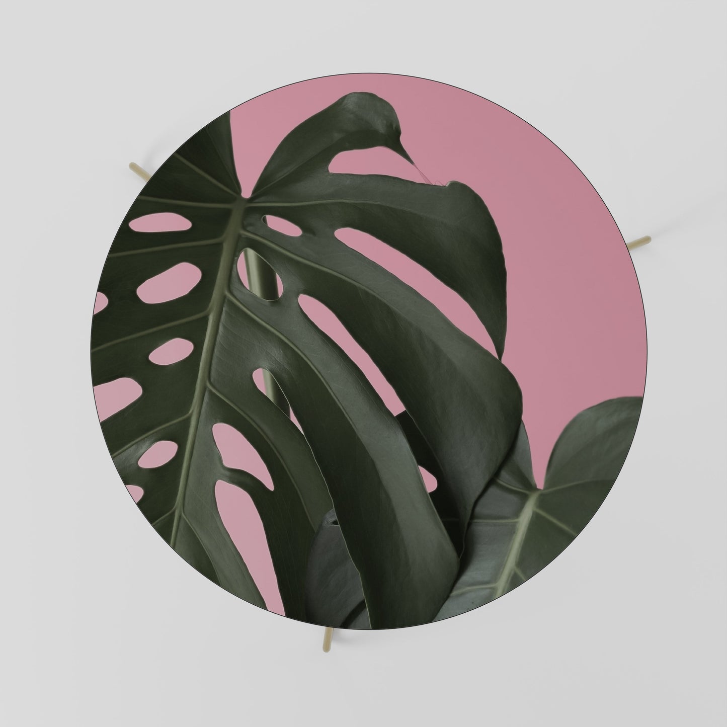 Tavolino da caffè LADY MONSTERA 69