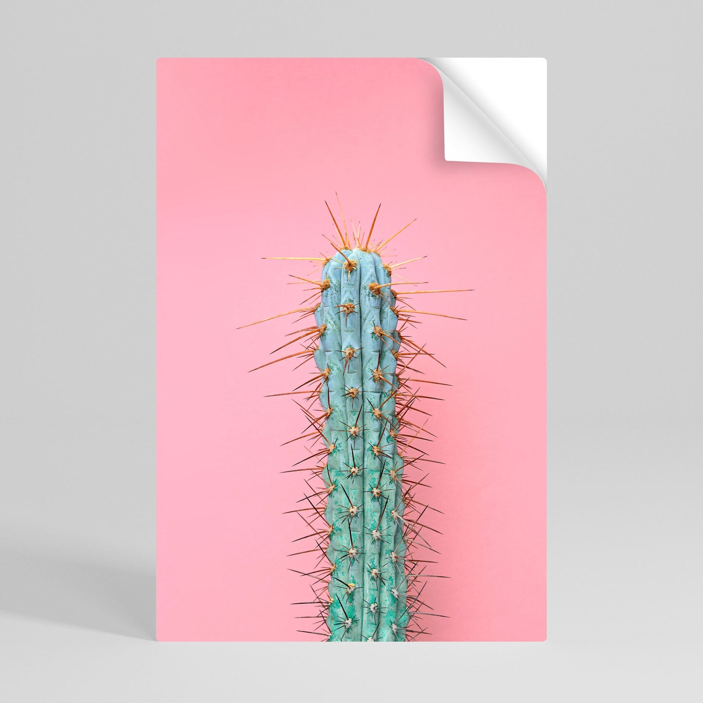 MISTER CACTUS Poster verticale staccabile e attaccabile