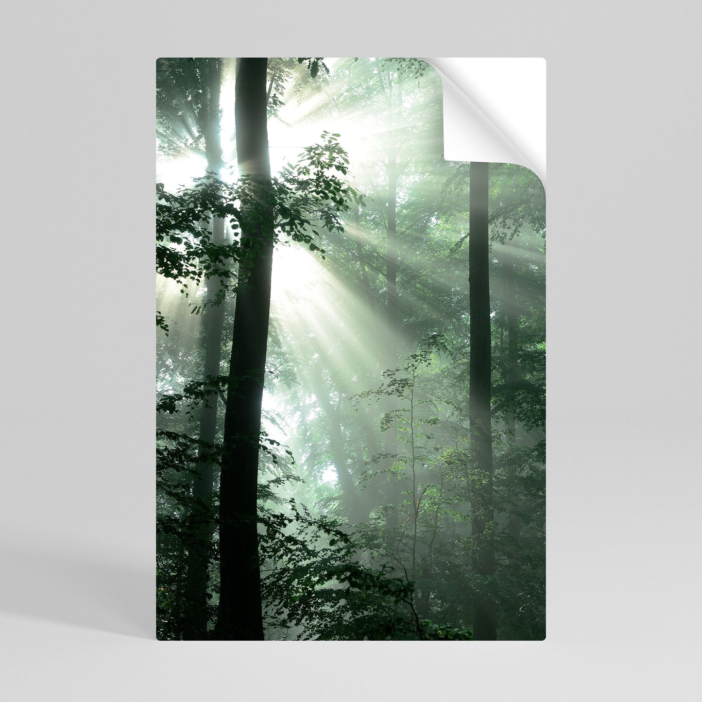 Poster verticale staccabile e attaccabile "MYSTICAL SUNBEAMS"