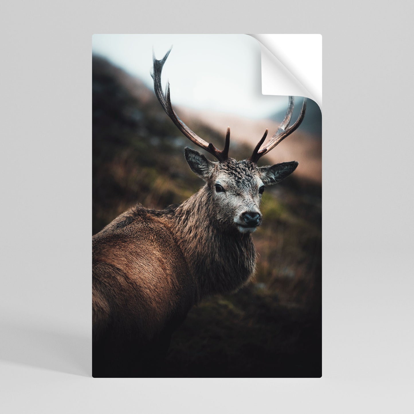 ELEGANTE GUARDIANO DELLA NATURA SELVAGGIA Poster verticale staccabile e attaccabile