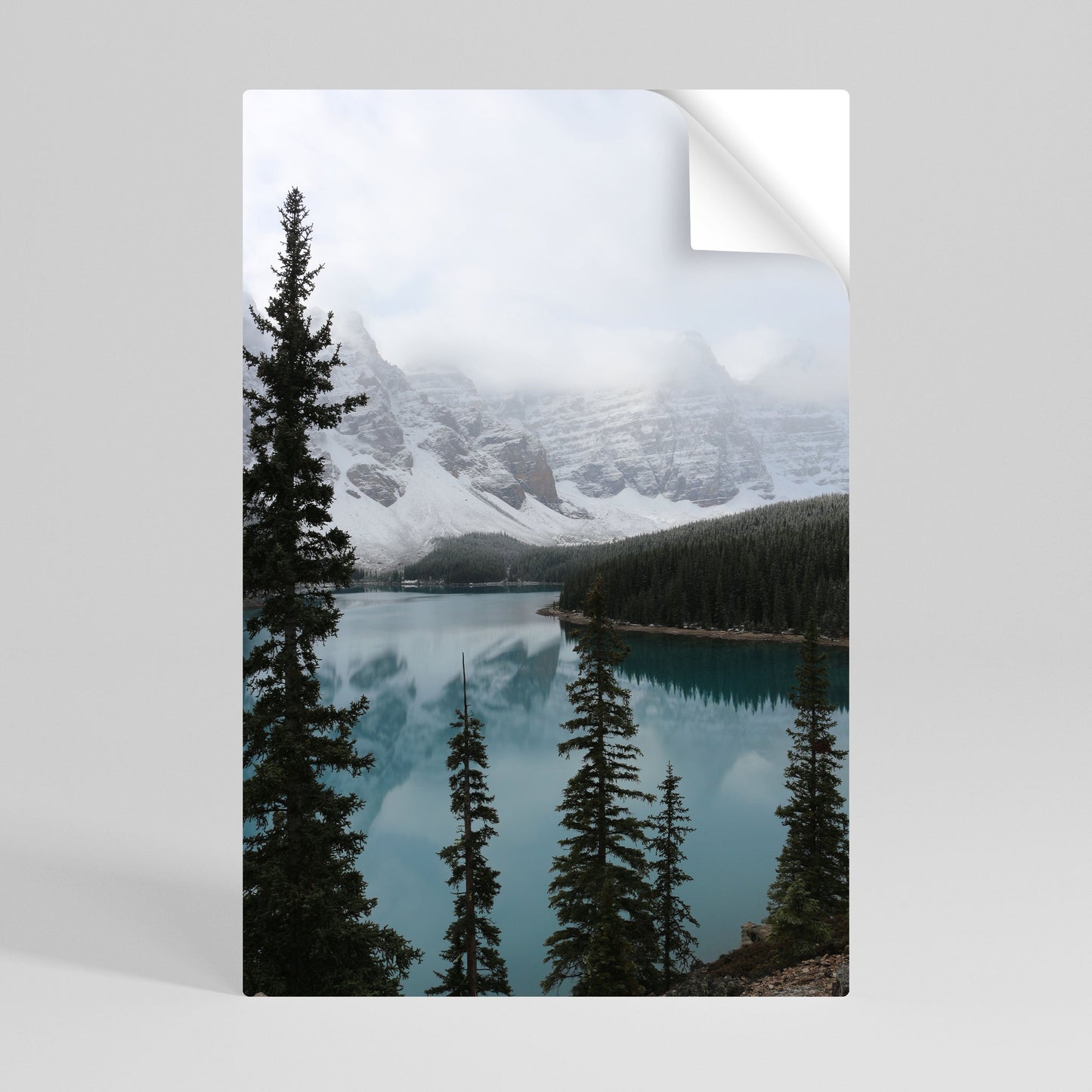 Poster verticale staccabile e attaccabile CONFINI DELLA FORESTA NEBBIOSA
