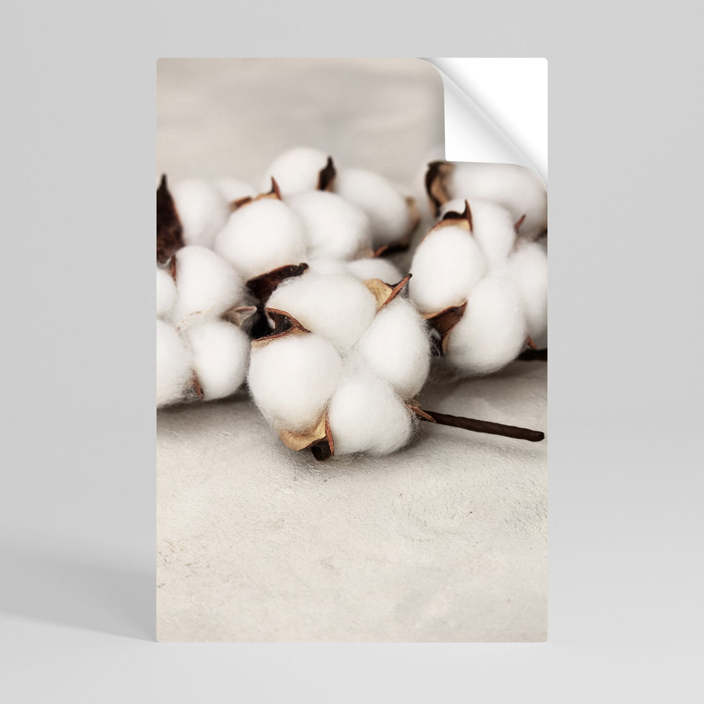 Poster verticale staccabile e attaccabile COTTON CLOUDS WHISPERS