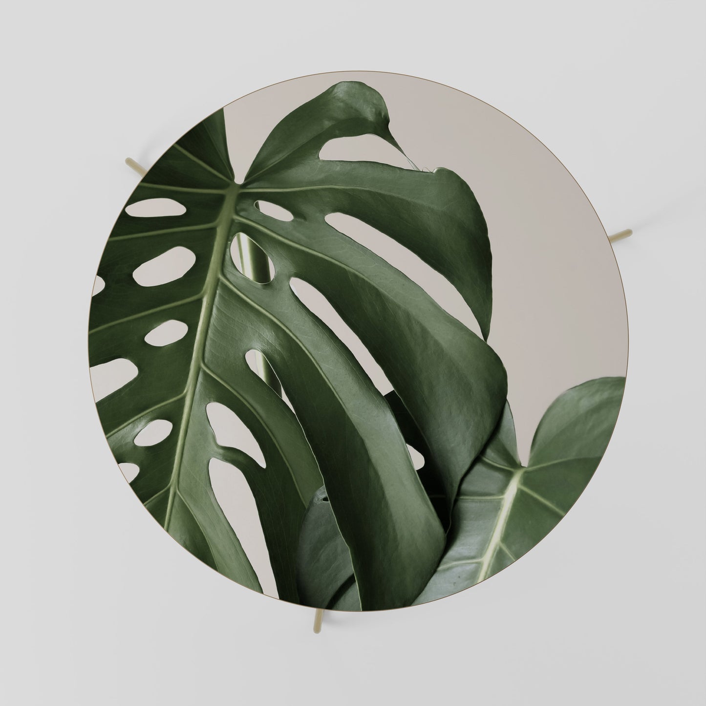 Tavolino da caffè MONSTERA ACCURACY 69
