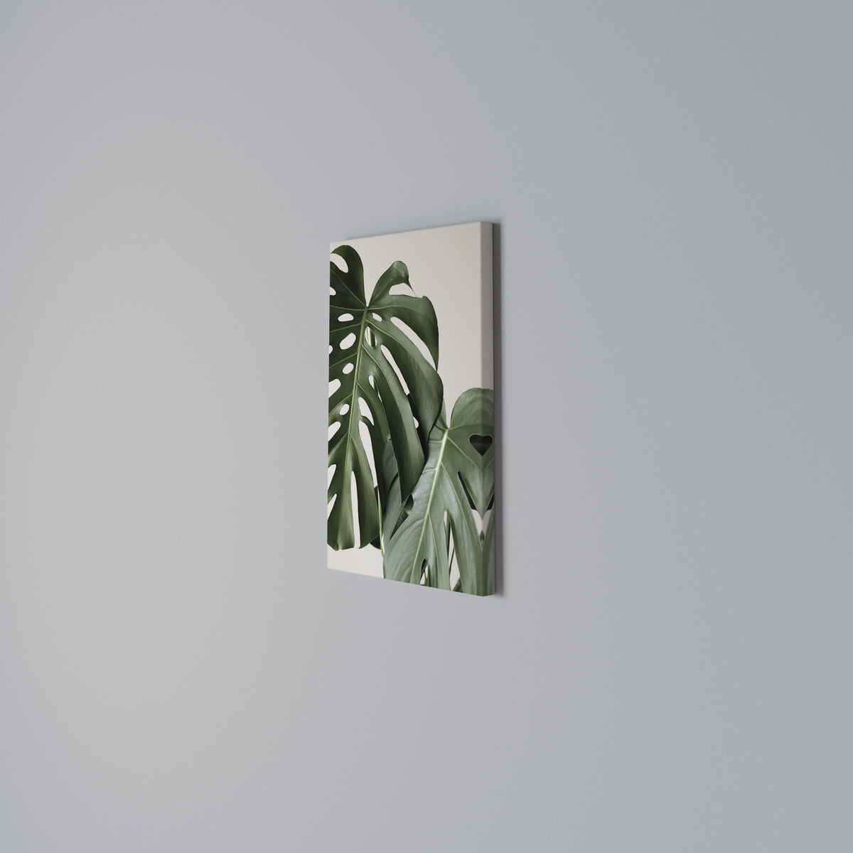 MONSTERA ACCURACY Stampa su tela verticale