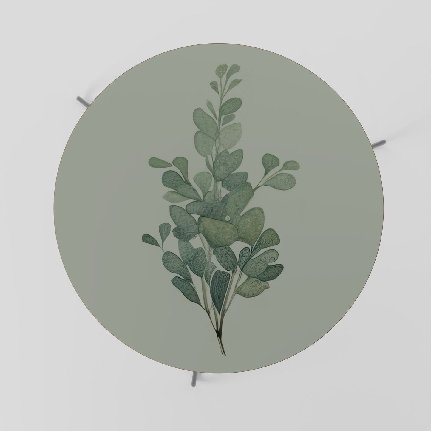 Tavolino da caffè EUCALYPTUS TWIG 69