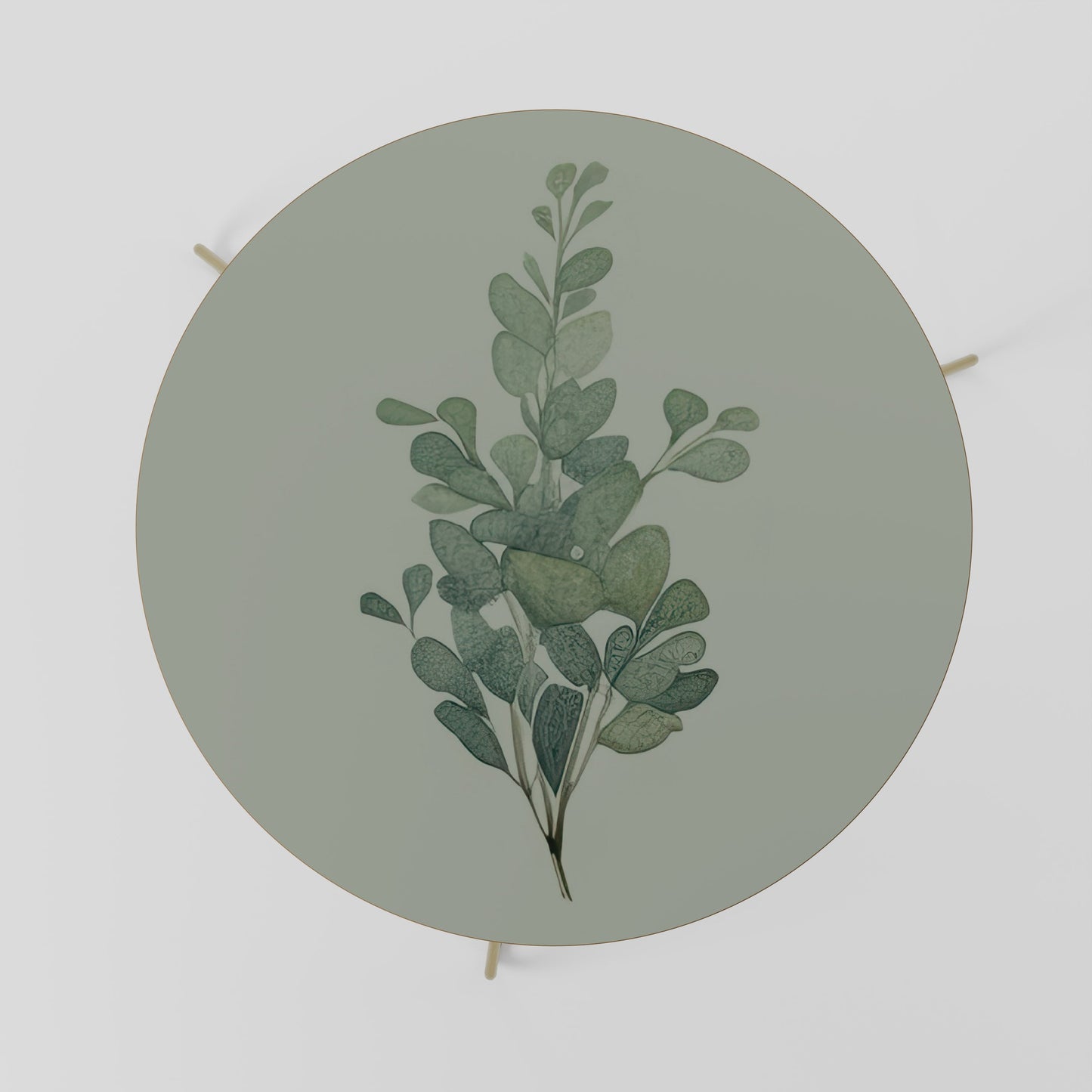 Tavolino da caffè EUCALYPTUS TWIG 69
