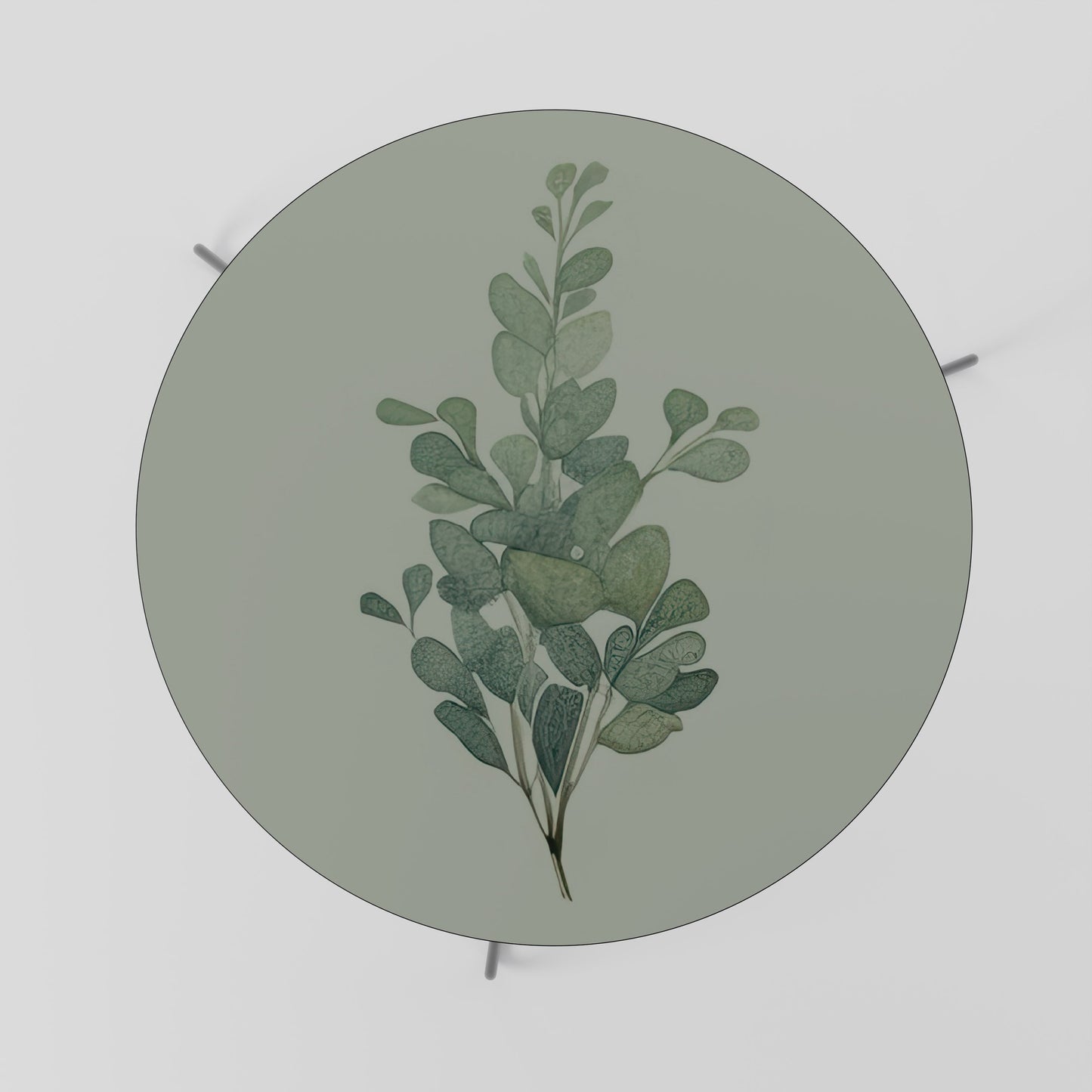Tavolino da caffè EUCALYPTUS TWIG 69