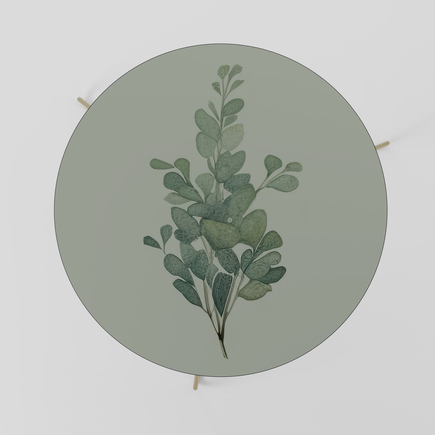 Tavolino da caffè EUCALYPTUS TWIG 69