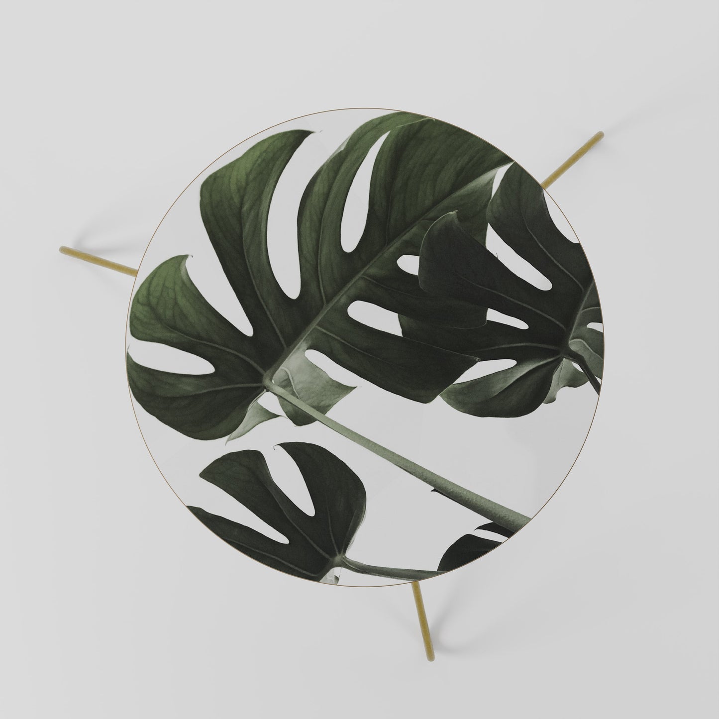 FOLIAGE FUSION Coffee Table 60