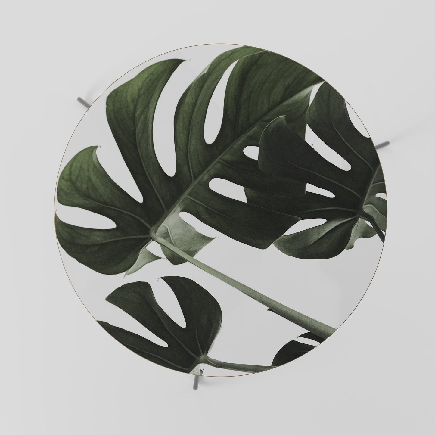 Tavolino da caffè FOLIAGE FUSION 69