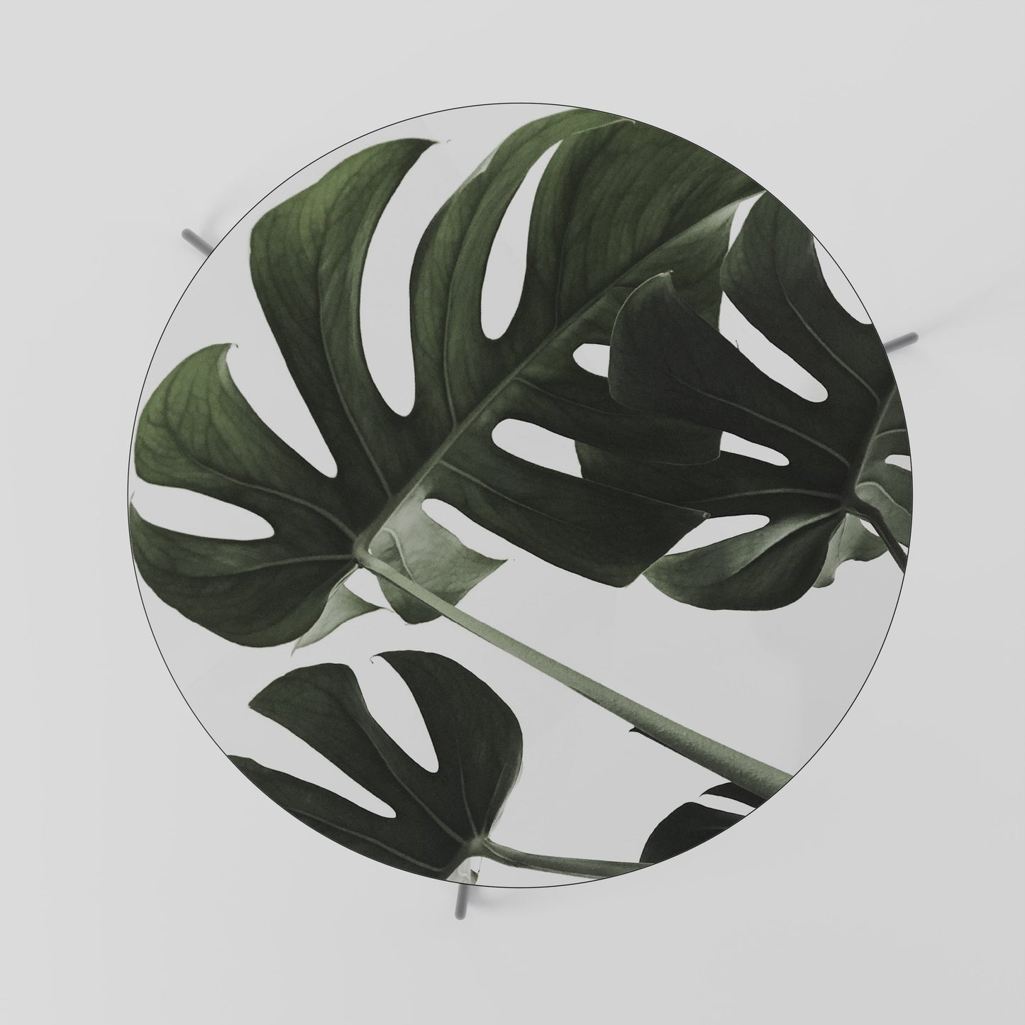 Tavolino da caffè FOLIAGE FUSION 69