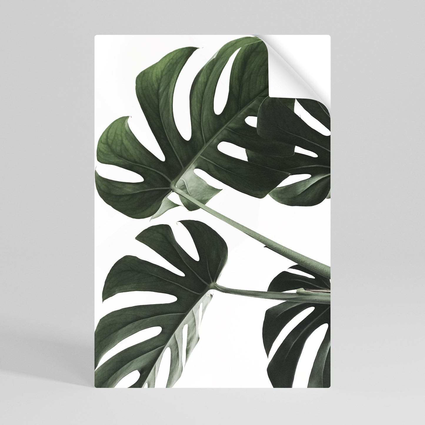 FOLIAGE FUSION Poster verticale staccabile e attaccabile