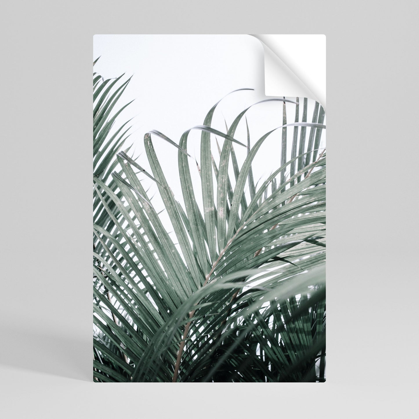 Poster verticale staccabile e attaccabile "PALM WHISPERS"