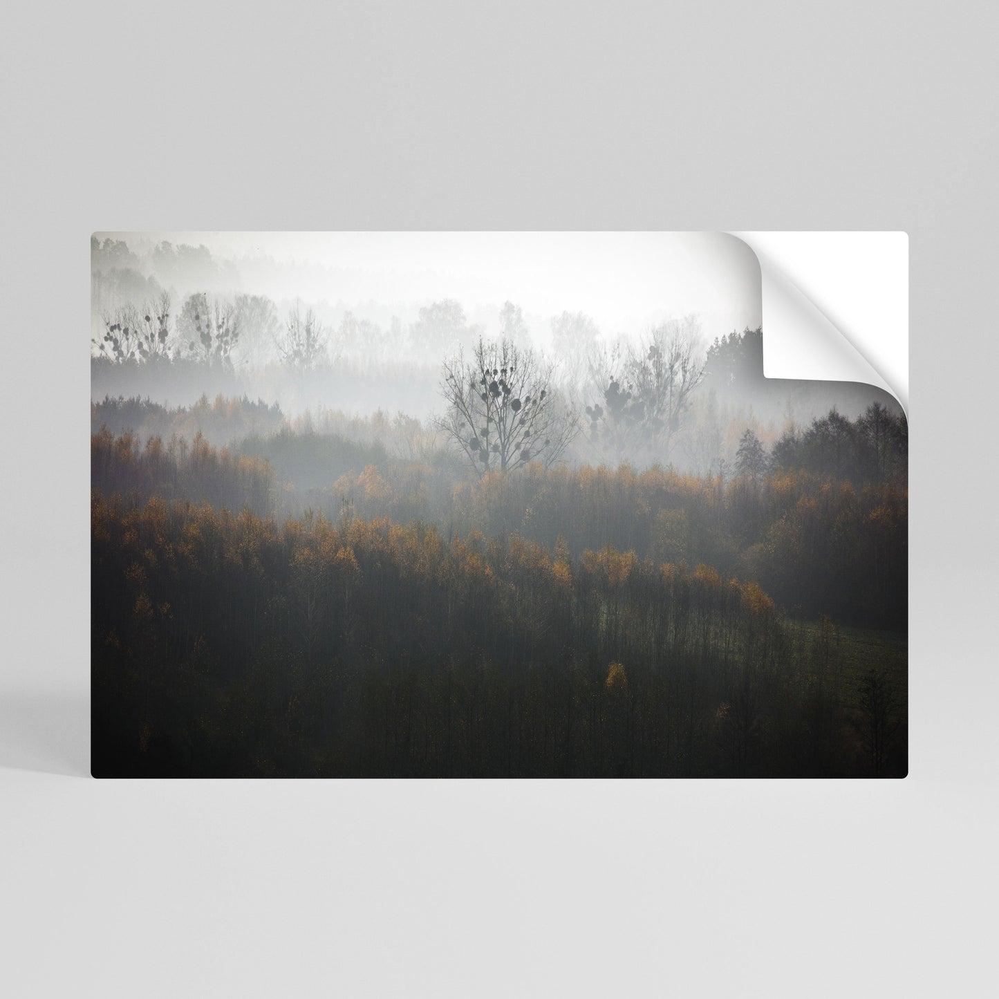 Poster orizzontale staccabile e attaccabile AUTUMNAL HAZE