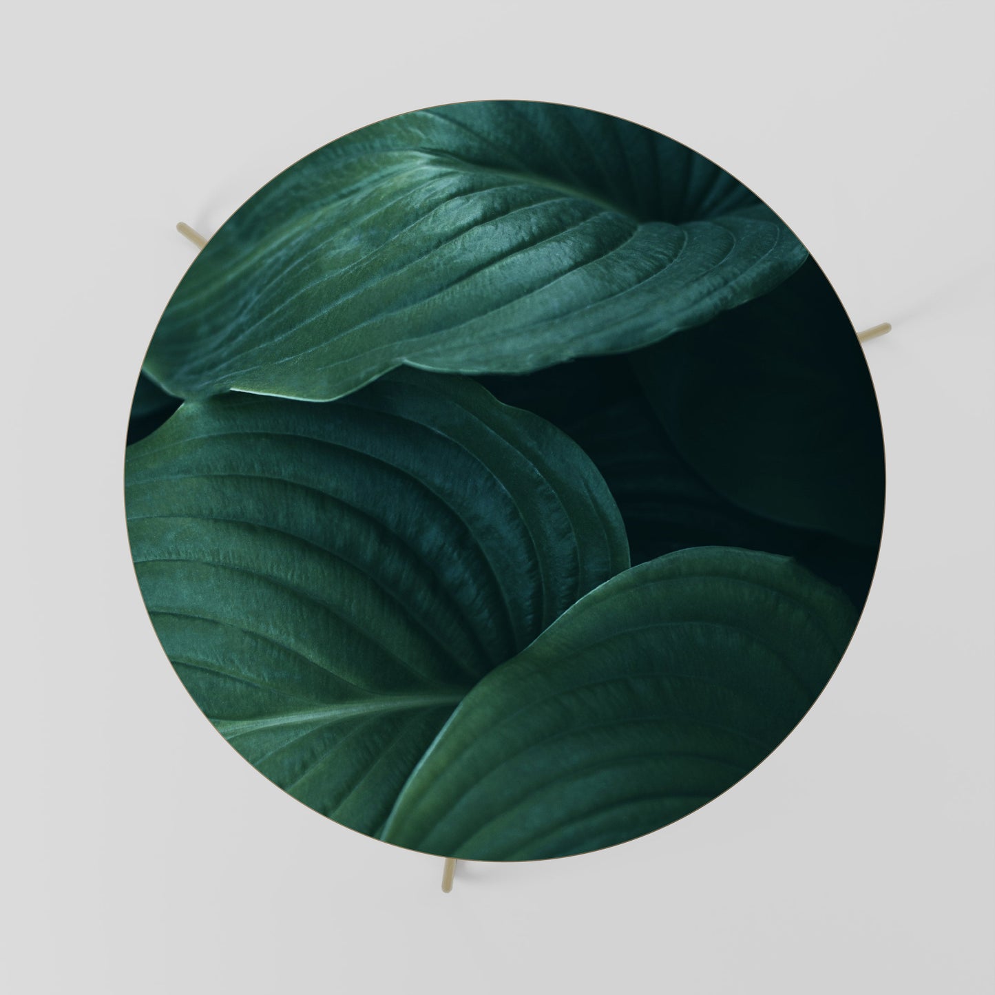 Tavolino da caffè 69 dalle delicate tonalità botaniche