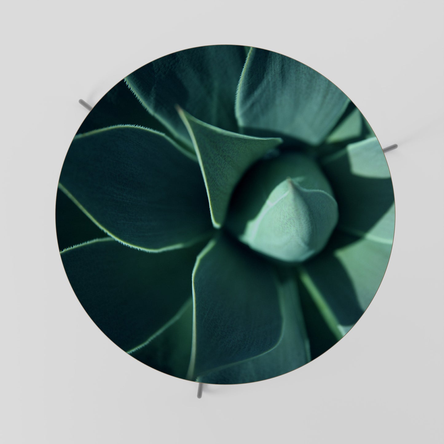 Tavolino da caffè MYSTICAL GREEN WHORL 69