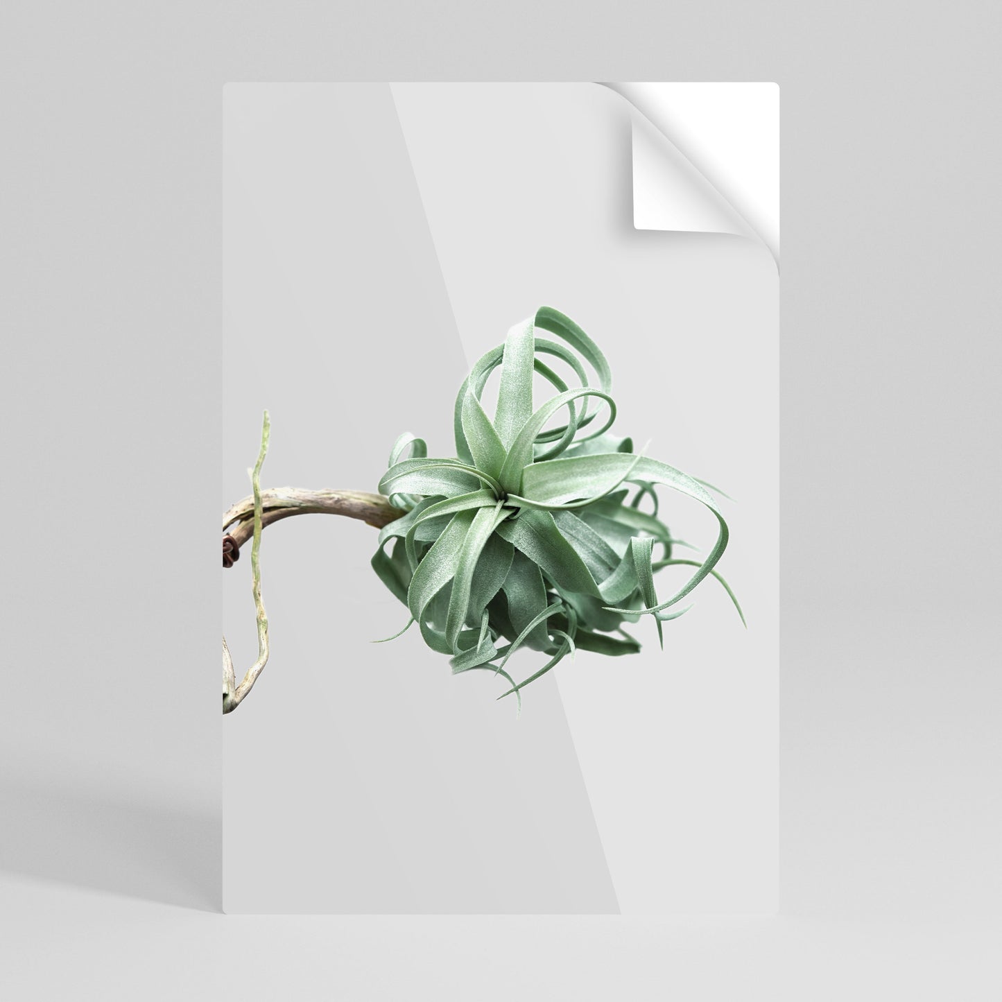 TANGLE OF NATURE Poster verticale staccabile e attaccabile