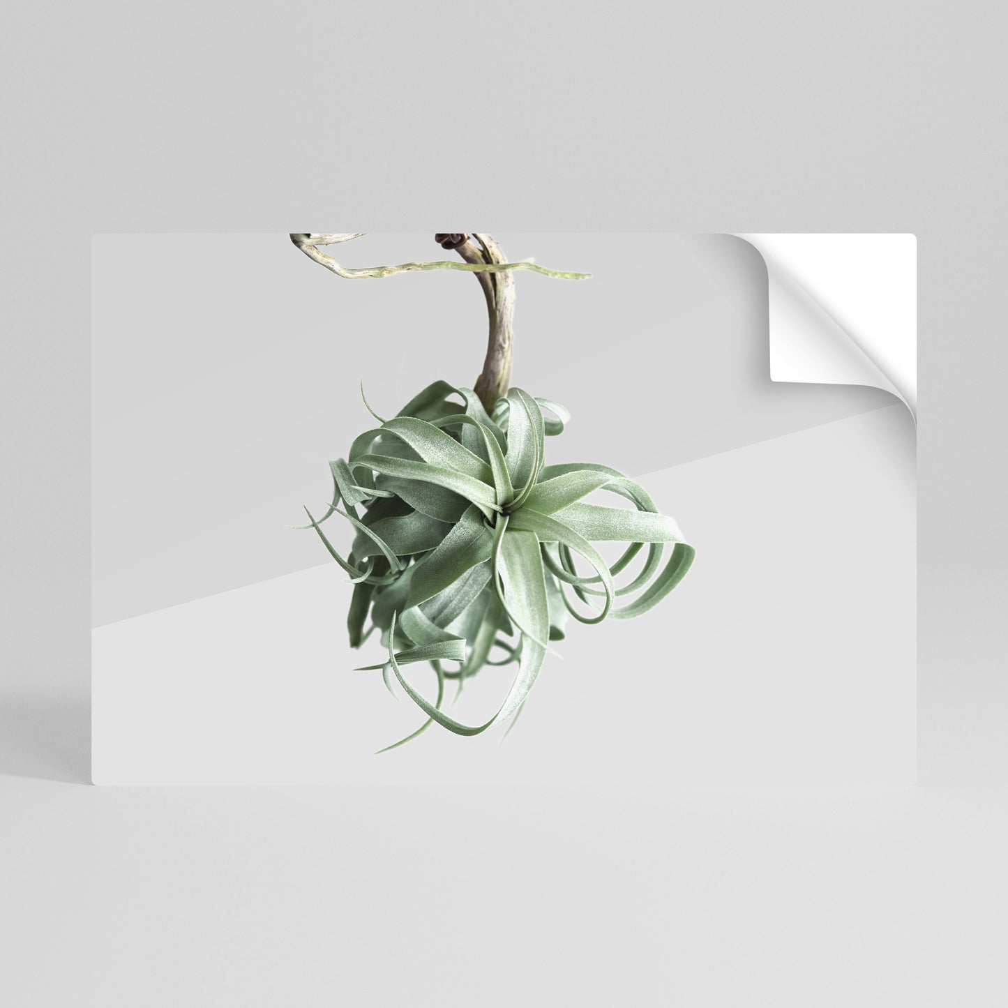 TANGLE OF NATURE Poster orizzontale staccabile e attaccabile