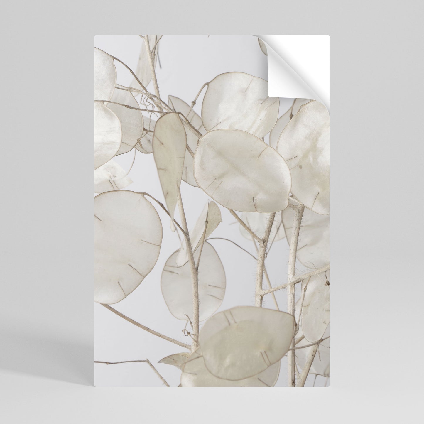 Poster verticale staccabile e attaccabile SILKY FOLIAGE WHISPERS