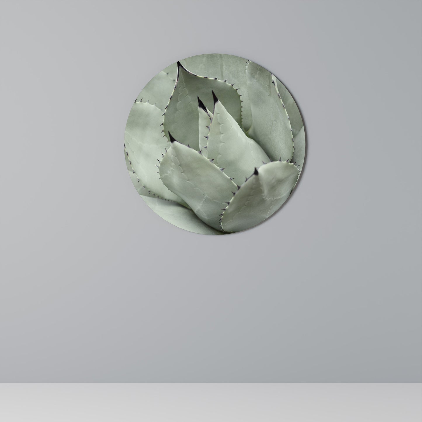 MYSTICAL SUCCULENT DREAM Round Wall Art