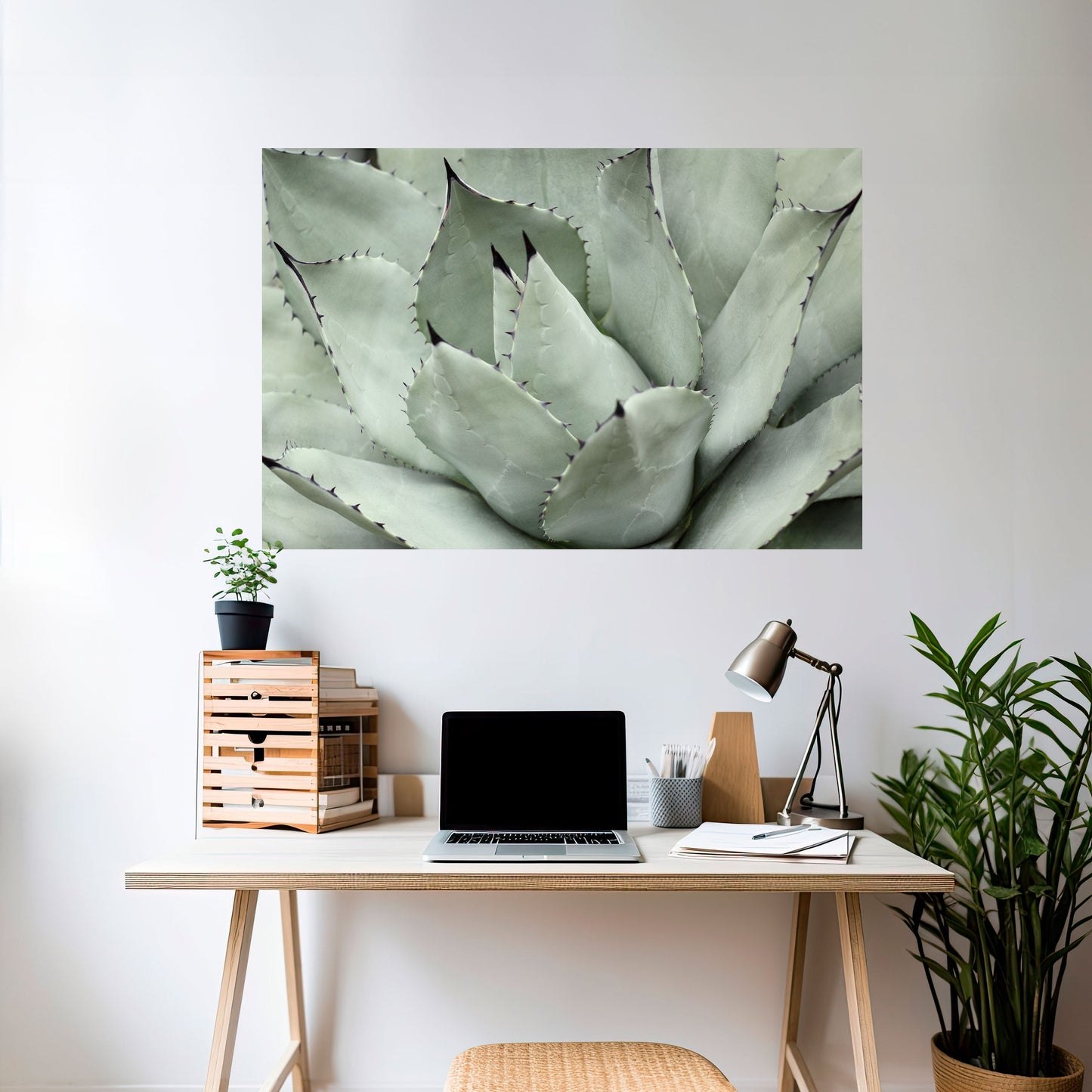 Poster orizzontale staccabile e attaccabile SOGNO MISTICO SUCCULENTO