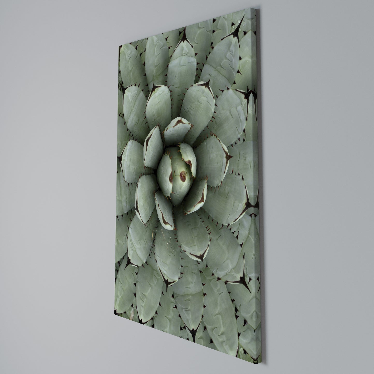 SUCCULENT SYMMETRY Stampa su Tela Verticale