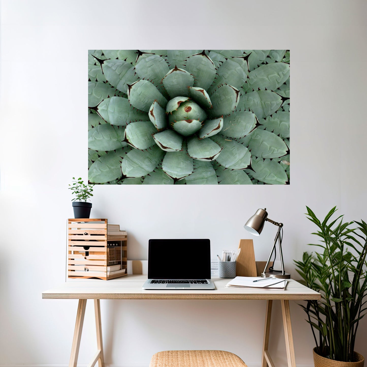 SIMMETRIA SUCCULENTA Poster orizzontale staccabile e attaccabile