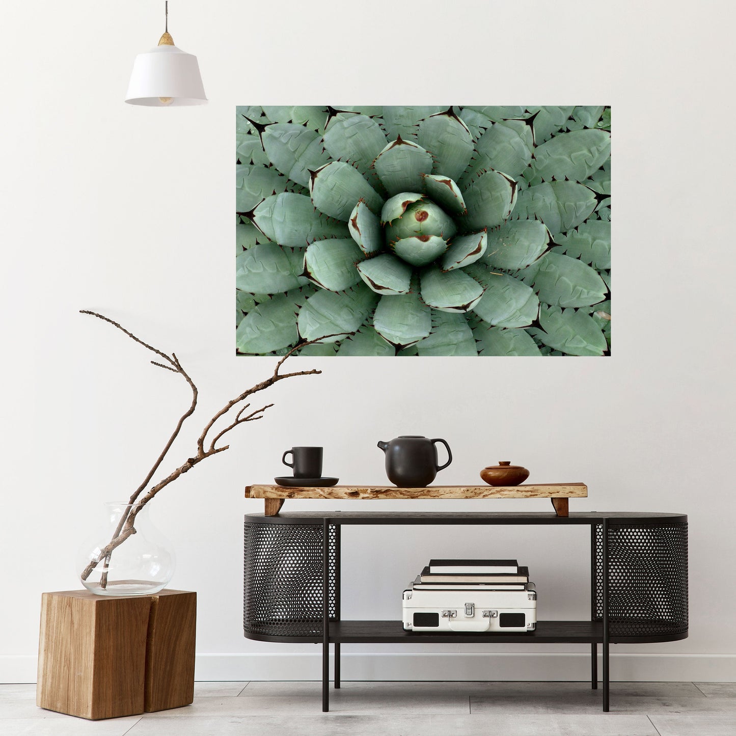 SIMMETRIA SUCCULENTA Poster orizzontale staccabile e attaccabile